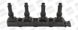 BorgWarner (BERU) ZS338 Ritė, uždegimas