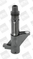 BorgWarner (BERU) ZS347 Ritė, uždegimas