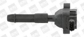 BorgWarner (BERU) ZS041 Ritė, uždegimas