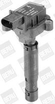 BorgWarner (BERU) ZS077 Ritė, uždegimas