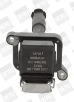 BorgWarner (BERU) ZS302 Ritė, uždegimas