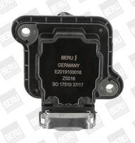 BorgWarner (BERU) ZS016 Ritė, uždegimas