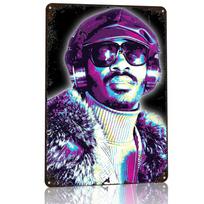 Stevie Wonder Retro Style D Texture Printed Poster Custom Vintage Metal Tin Plate Sign for Wall Art Home Decor Accessories Room 20x30cm（7.8x11.8inch） gray