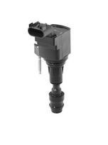 BorgWarner (BERU) ZSE212 Ritė, uždegimas