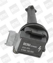 BorgWarner (BERU) ZSE055 Ritė, uždegimas