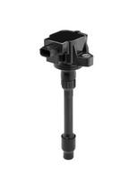 BorgWarner (BERU) ZSE295 Ritė, uždegimas