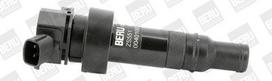 BorgWarner (BERU) ZS551 Ritė, uždegimas
