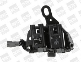 BorgWarner (BERU) ZS541 Ritė, uždegimas