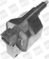 BorgWarner (BERU) ZS396 Ritė, uždegimas