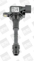BorgWarner (BERU) ZSE079 Ritė, uždegimas