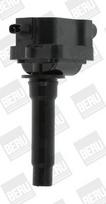 BorgWarner (BERU) ZS434 Ritė, uždegimas