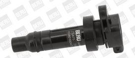 BorgWarner (BERU) ZS475 Ritė, uždegimas