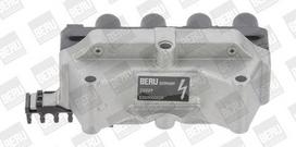 BorgWarner (BERU) ZS029 Ritė, uždegimas