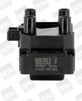 BorgWarner (BERU) ZS234 Ritė, uždegimas