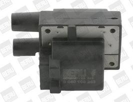 BorgWarner (BERU) ZS243 Ritė, uždegimas