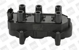 BorgWarner (BERU) ZS306 Ritė, uždegimas