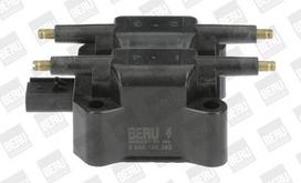 BorgWarner (BERU) ZS392 Ritė, uždegimas