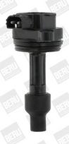 BorgWarner (BERU) ZS446 Ritė, uždegimas