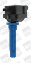 BorgWarner (BERU) ZS433 Ritė, uždegimas