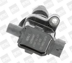 BorgWarner (BERU) ZS429 Ritė, uždegimas