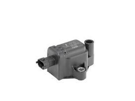 BorgWarner (BERU) ZS439 Ritė, uždegimas
