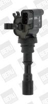 BorgWarner (BERU) ZS542 Ritė, uždegimas