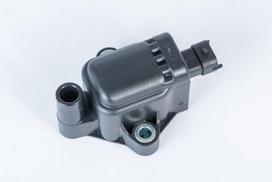 BorgWarner (BERU) ZS593 Ritė, uždegimas