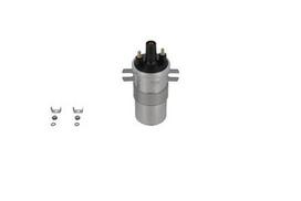 BorgWarner (BERU) ZS564 Ritė, uždegimas