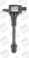 BorgWarner (BERU) ZSE081 Ritė, uždegimas