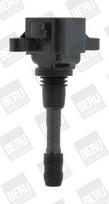 BorgWarner (BERU) ZSE066 Ritė, uždegimas