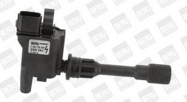 BorgWarner (BERU) ZSE083 Ritė, uždegimas