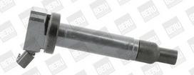 BorgWarner (BERU) ZSE187 Ritė, uždegimas