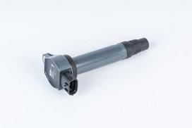 BorgWarner (BERU) ZSE207 Ritė, uždegimas