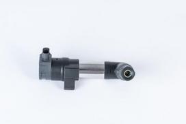BorgWarner (BERU) ZSE253 Ritė, uždegimas