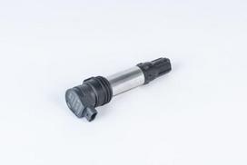BorgWarner (BERU) ZSE256 Ritė, uždegimas