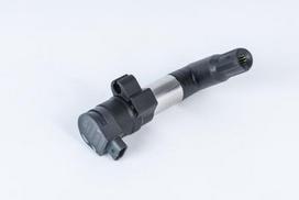 BorgWarner (BERU) ZSE254 Ritė, uždegimas