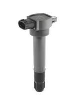 BorgWarner (BERU) ZSE315 Ritė, uždegimas
