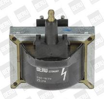 BorgWarner (BERU) ZS316 Ritė, uždegimas