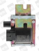 BorgWarner (BERU) ZS244 Ritė, uždegimas