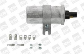 BorgWarner (BERU) ZS569 Ritė, uždegimas