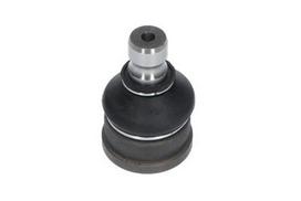 KAVO PARTS SBJ-5530 Šarnyras / girgždukas