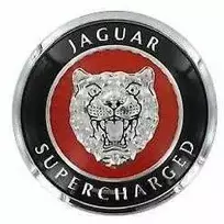 Jaguar XK 8 X100 Priekinis Bamperio Grotelės Emblema Ženklelis HJB5900AA NAUJAS ORIGINALUS