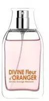 Cottage EDT 50 Vap Divine F Oranžinis 8805
