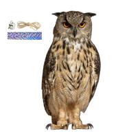 Pelėdos Atbaidytojas su Garsu - Vandeniui Atsparus Realistiškas Baidyklė Kieme Sodui Patalpoje Lauke Dekoras, Pridedama 30cm Virvutė su Varpele beige
