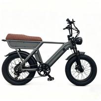 Retro Fat Tire Electric Bike, 48V 250W Motor 90-100KM Long Range, 20*4.0 All Terrain E-Bike 7 Speed Zoom Hydraulic Disc Brake Front Suspension pilka