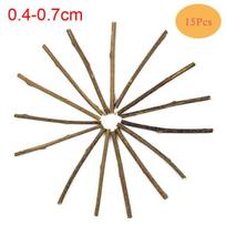 15 Pieces Natural Matatabi Catnip Toy Kitten Molar Chewing Stick Teeth Cleaning Cat Toy Treat Actinidia Silvervine Pet Products 0.4-0.7cm 15pcs brown