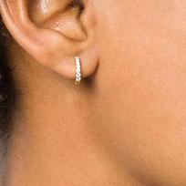 Hoop 'Mini Diamond Earrings, Titanium Steel Plated In 18K Gold brown