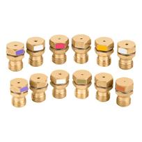 GRLP4 LP Gas Conversion Kit | Propane Orifice | Natural Gas to Propane Conversion Kit | 12 PIECES | Brass | With Instructions | Compatible with beige