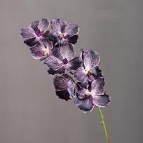 80 CM Dirbtinė Vanda Orchidėja Plastikinės Realiai Liečiamų Orchidėjų Phalaenopsis Šakelė Stalo Dekoras Style 14