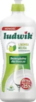 Ludwik INDŲ PLAVIKLIS „DUETAS ŠVIEŽUMO“ – LAIMAS SU MELISĄ 900 g